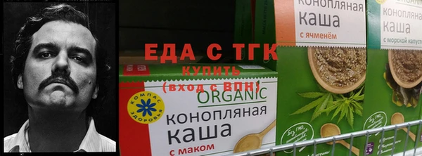 mdma Кодинск