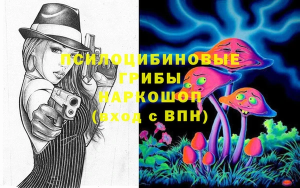 2c-b Козельск