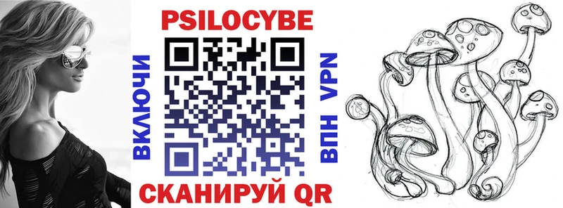 Купить закладки  Наволоки  Галлюциногенные грибы GOLDEN TEACHER 